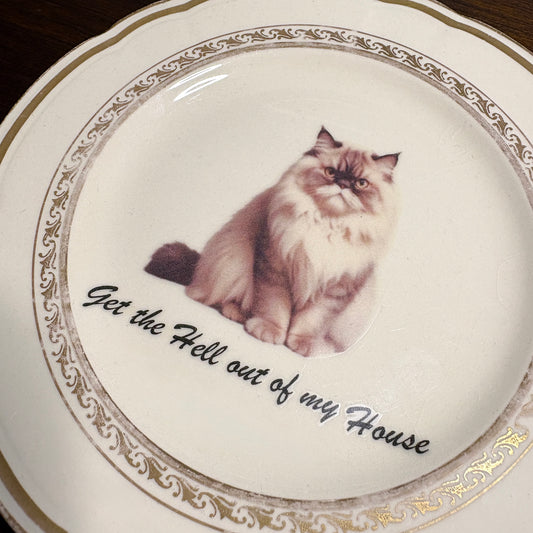 "Get the Hell Out of My House" Fluffy Cat Vintage Plate Wall Décor